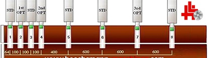 scm gabbiani plattenaufteilanlage p75 zangengreifer